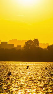 大河上的夕阳西下延时摄影城市轮廓视频