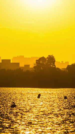 大河上的夕阳西下延时摄影城市轮廓13秒视频