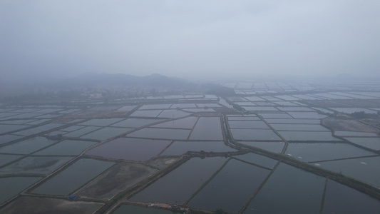 春季雾蒙蒙的广东养殖基地航拍视频