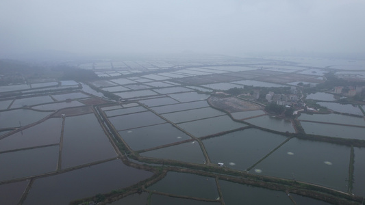 春季雾蒙蒙的广东养殖基地航拍视频