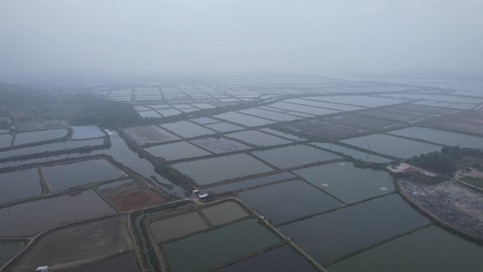 春季雾蒙蒙的广东养殖基地航拍视频