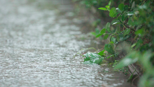 下雨暴雨视频