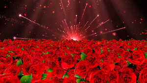 唯美大气玫瑰花海动态粒子散发背景视频元素29秒视频