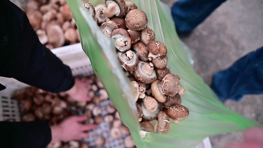 春节农贸市场买卖年货过年食材物资视频