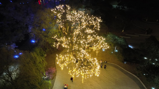 沈阳城市夜晚风光视频