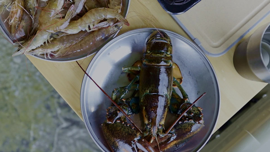 各种海鲜食材视频