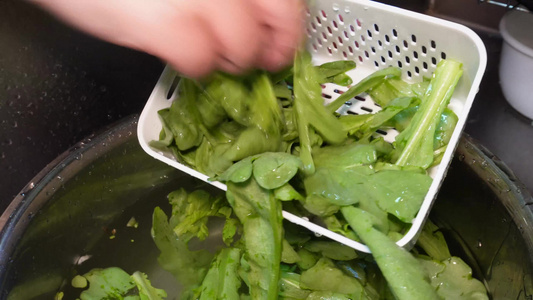 清洗绿色蔬菜西蓝花油麦菜视频