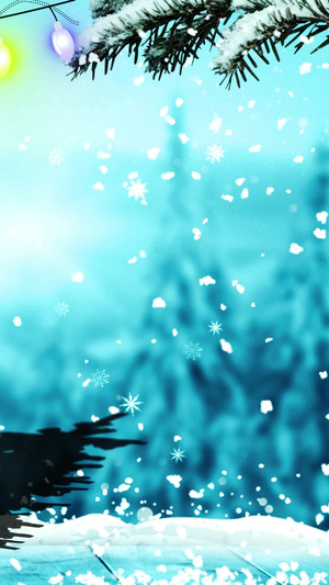 唯美的圣诞雪松背景素材冬季雪花30秒视频