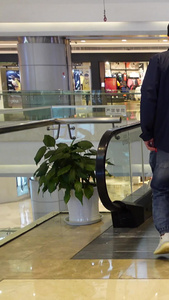 购物中心手扶电梯商业素材商业广场视频