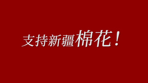 维护国家利益支持新疆棉花快闪20秒视频