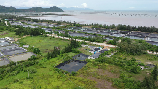 上川岛水产养殖航拍视频