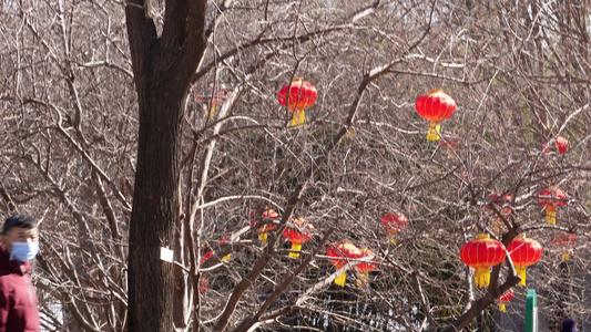 喜庆吉祥大红灯笼春节装饰 视频