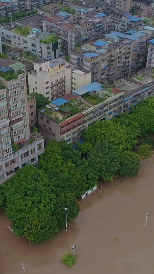 自然灾害城市洪水航拍洪涝载还188秒视频