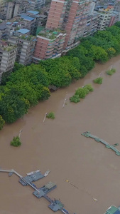 自然灾害城市洪水航拍洪涝载还视频