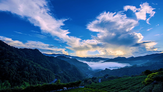 4K茶园茶山山脉森林云海延时视频