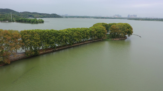 航拍武汉东湖景区后湖线团山驿站湖中林荫路视频