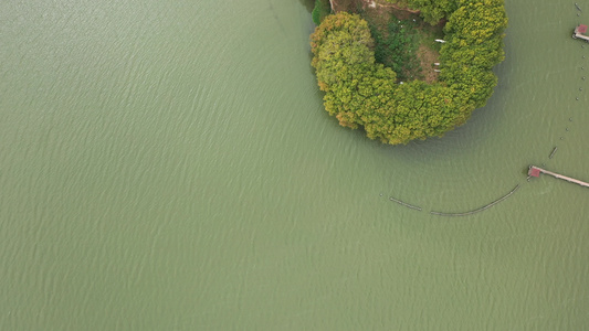 航拍武汉东湖景区后湖线团山驿站湖中林荫路视频