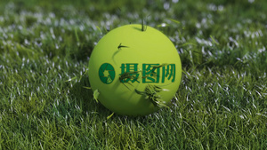 被小草包裹的小球运动logo演绎8秒视频