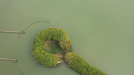 航拍武汉东湖景区后湖线团山驿站湖中林荫路视频