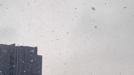 冬季里的城市灰色下雪雪中楼宇建筑烟筒视频