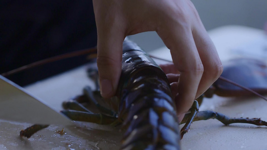 烹饪澳洲龙虾视频