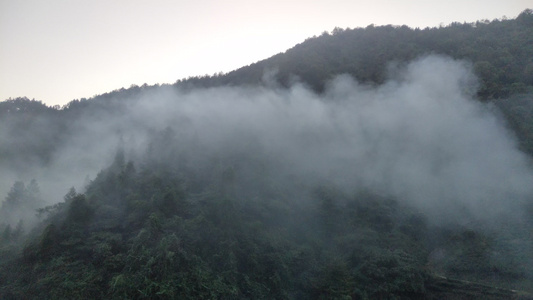 半山腰烟雾视频