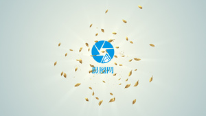 春、秋花草麦穗生长季节主题logo展现24秒视频