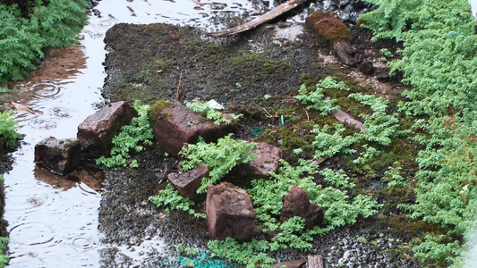 升格屋檐下古建筑破败雨水下雨滴水雨季青苔视频