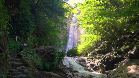 树木流水瀑布森林视频实拍视频