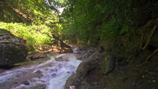 水流树林拍摄实拍视频视频