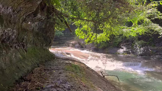 森林水流拍摄实拍视频视频