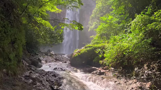 旅行拍摄树木树林瀑布视频视频