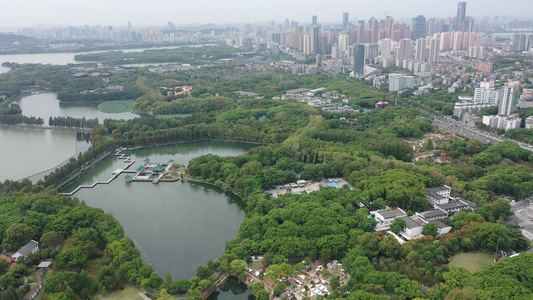 航拍武汉东湖生态旅游风景区听涛景区天鹅池视频