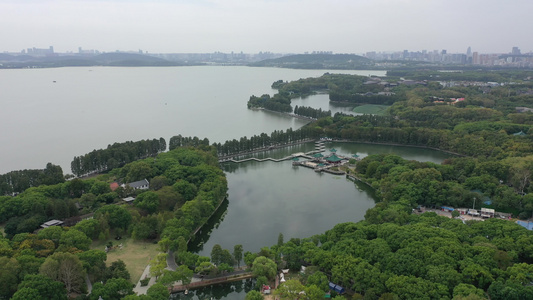 航拍武汉东湖生态旅游风景区听涛景区天鹅池视频