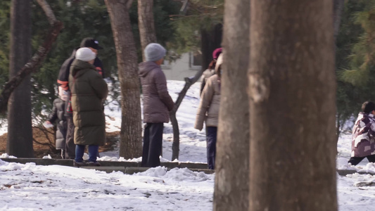 冬季下雪树林孩子打雪仗玩雪视频