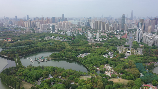 航拍武汉东湖生态旅游风景区听涛景区天鹅池视频