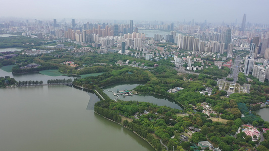 航拍武汉东湖生态旅游风景区听涛景区天鹅池视频