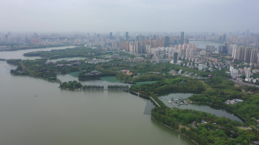 航拍武汉东湖生态旅游风景区听涛景区天鹅池视频