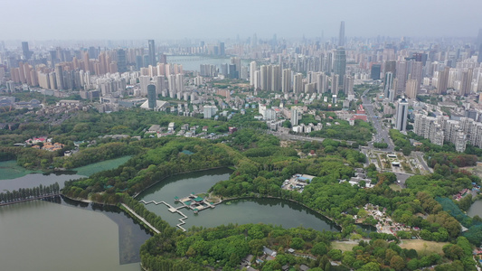 航拍武汉东湖生态旅游风景区听涛景区天鹅池视频