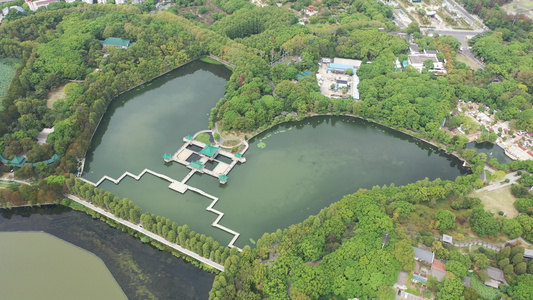 航拍武汉东湖生态旅游风景区听涛景区天鹅池视频