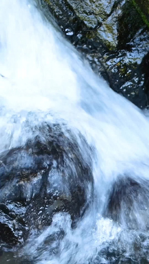 夏日山涧小溪溪流大自然39秒视频