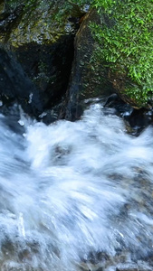 夏日山涧小溪溪流生命之源视频