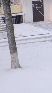 冬天雪地里行走的人一个人视频