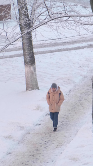 冬天雪地里行走的人大雪纷飞17秒视频