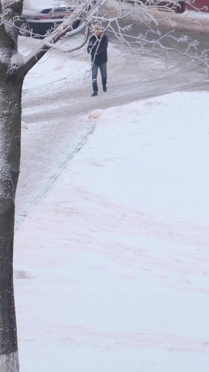 冬天雪地里行走的人一个人17秒视频