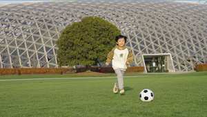 小男孩在草地上踢足球15秒视频
