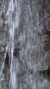 从山上流下来的山泉水实拍清澈的山泉水视频