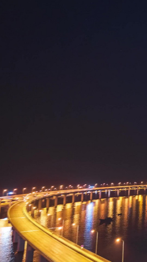 大连星海湾跨海大桥夜景延时海滨城市交通桥梁辽宁省16秒视频