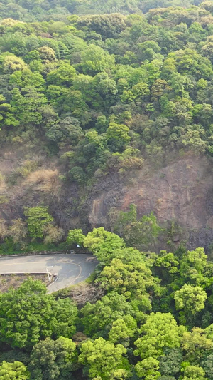 航拍佛山西樵山九龙岩摩崖石刻国家重点风景名胜区24秒视频