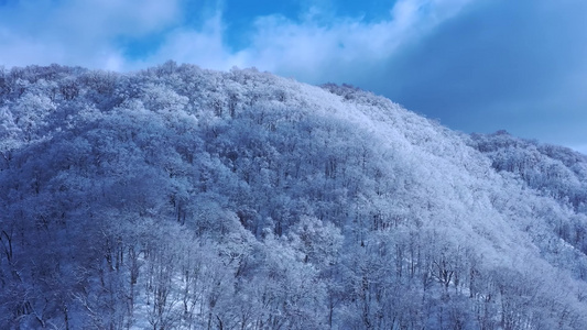 壮观雪山雪景雪林冰天雪地震撼航拍视频